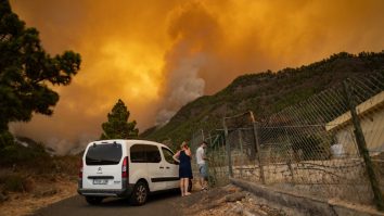 Spania este cuprinsă de incendii devastatoare, iar sute de mii de hectare de vegetație au fost mistuite de flăcări