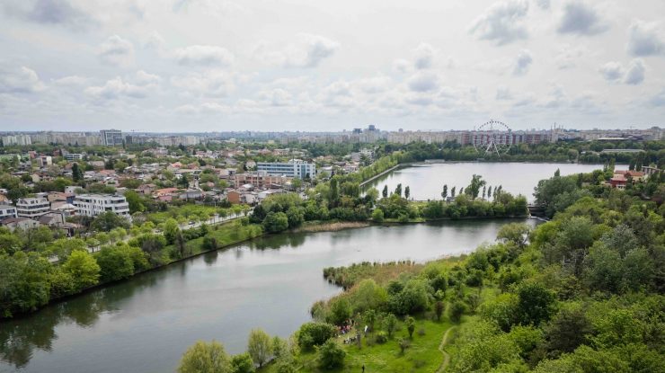 Bucureștiul bifează o premieră. Capitala are prima arie naturală protejată de interes local – Pajiștea Petricani