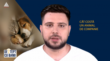 Deștept cu banii. Pe ce pui preț?
