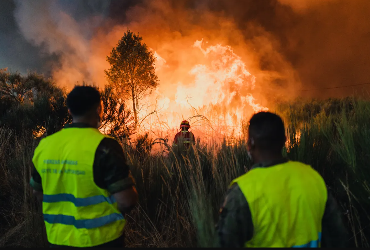 Europa a pierdut aproape 900.000 hectare de păduri. Incendiile mistuie Spania de 10 zile