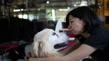 China schimbă regulile ospitalității. În Wuhan, turiștii pot închiria un câine de companie pentru o noapte ca să le țină de urât