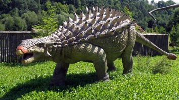 Un nou ankilosaur descoperit în Maroc impresionează cu țepii săi de pe gât, unici. Ce spun cercetătorii