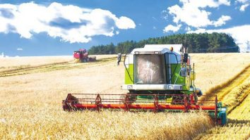 Anul 2025 aduce a doua cea mai bună recoltă din ultimii cinci ani în agricultură. Grâul şi rapiţa au atins maxime istorice