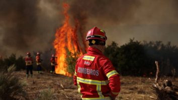 Povestea lui Mircea, românul care a murit în incediul de la Madrid, este relatată în Spania. Bărbatul încerca să salveze caii de la o bază hipică