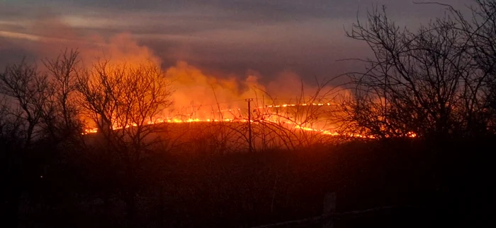 România se confruntă cu un val de incendii de vegetație și fond forestier. Peste 1.000 de hectare au ars