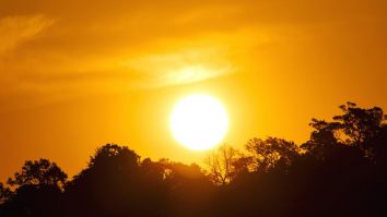 Canicula lovește vestul și centrul României, cu maxime de până la 37 de grade