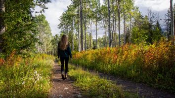 Un nou studiu arată că 15 minute în natură îmbunătățesc starea psihică, chiar fără mișcare