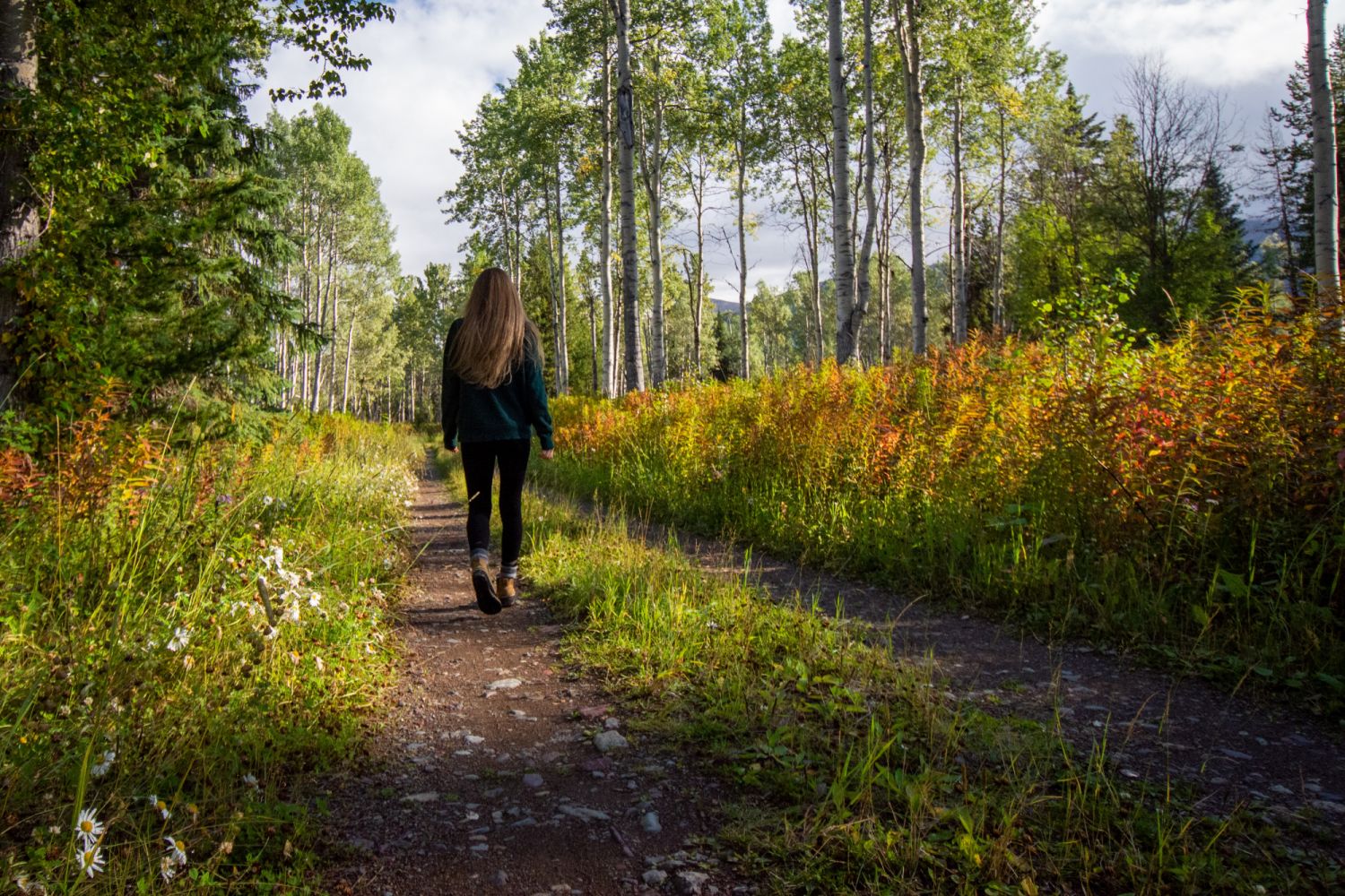Un nou studiu arată că 15 minute în natură îmbunătățesc starea psihică, chiar fără mișcare