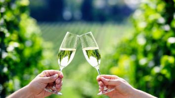 Italia combate șoarecii cu otravă cu aromă de prosecco. Ce alte arome are „bucătăria cu stele Michelin pentru șobolani”