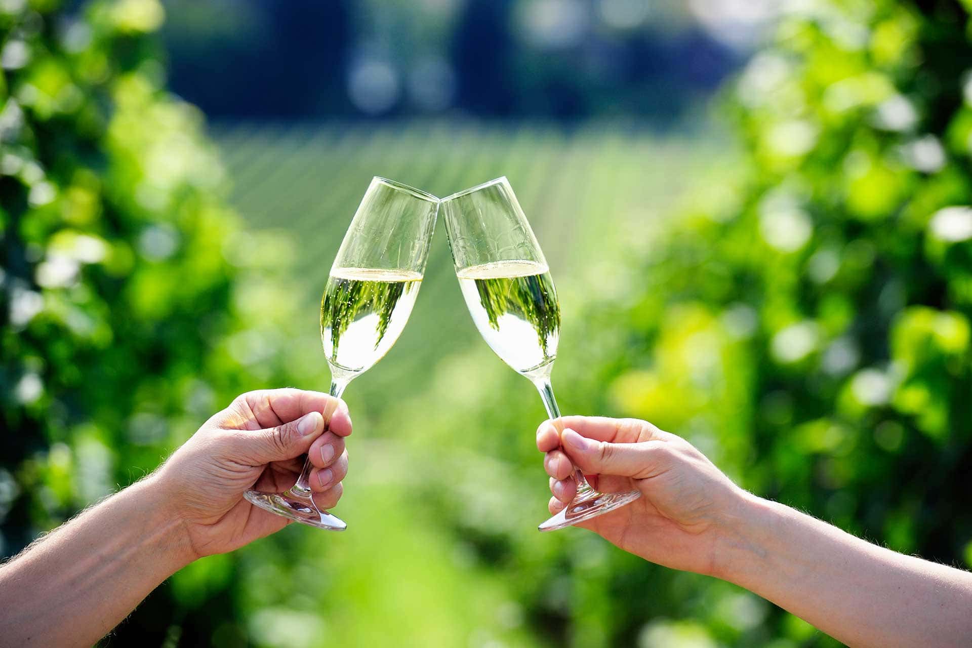 Italia combate șoarecii cu otravă cu aromă de prosecco. Ce alte arome are „bucătăria cu stele Michelin pentru șobolani”
