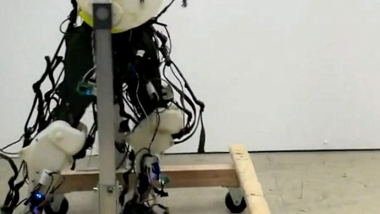 Un turist american a testat picioarele robotice Made in China. Ce a descoperit