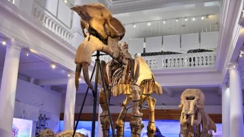 Bucureștiul are, în premieră, o hartă dedicată muzeelor și caselor memoriale din oraș. Lansată vineri, inițiativa include peste 60 de instituții