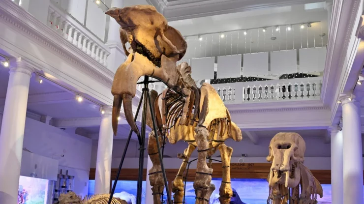 Bucureștiul are, în premieră, o hartă dedicată muzeelor și caselor memoriale din oraș. Lansată vineri, inițiativa include peste 60 de instituții