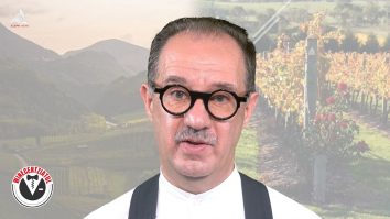 Winecentziatul. Tipuri de climat în regiunile viticole