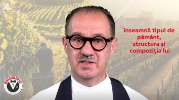 Winecentziatul. Solul din plantația de vița de vie