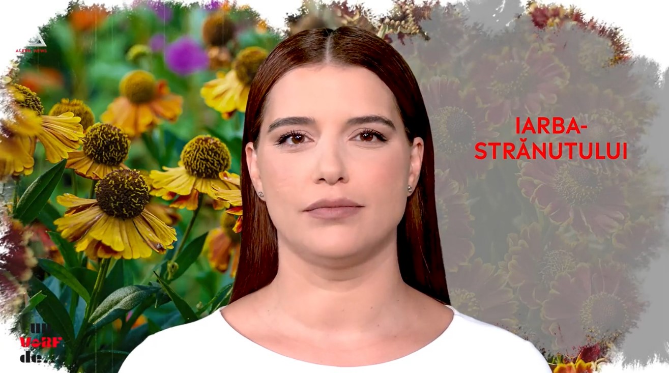 Un vârf de… helenium