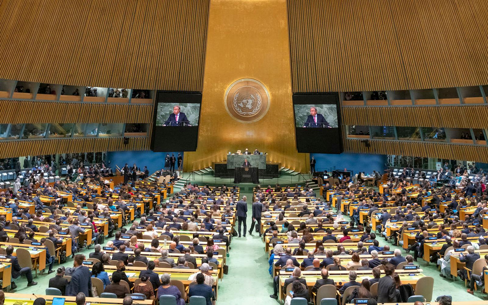 Președintele Nicușor Dan nu participă la Adunarea Generală a ONU. România va fi reprezentată de Oana Țoiu