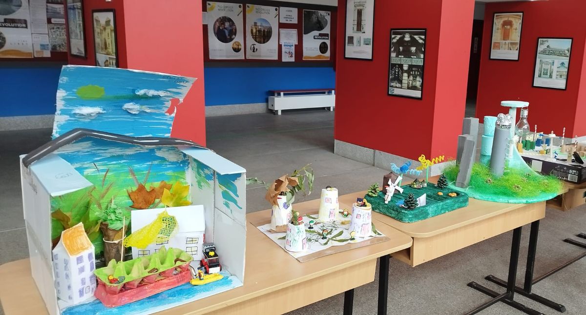 România câștigă trei premii europene pentru predare inovatoare în 2025. Mirela Vilcu: „învățăm în fiecare zi de la copiii noștri”