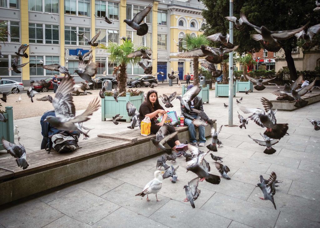 Primarul Gualtieri din Roma a interzis hrănirea porumbeilor. O femeie hrănea zilnic zeci de păsări de la balcon