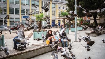 Primarul Gualtieri din Roma a interzis hrănirea porumbeilor. O femeie hrănea zilnic zeci de păsări de la balcon