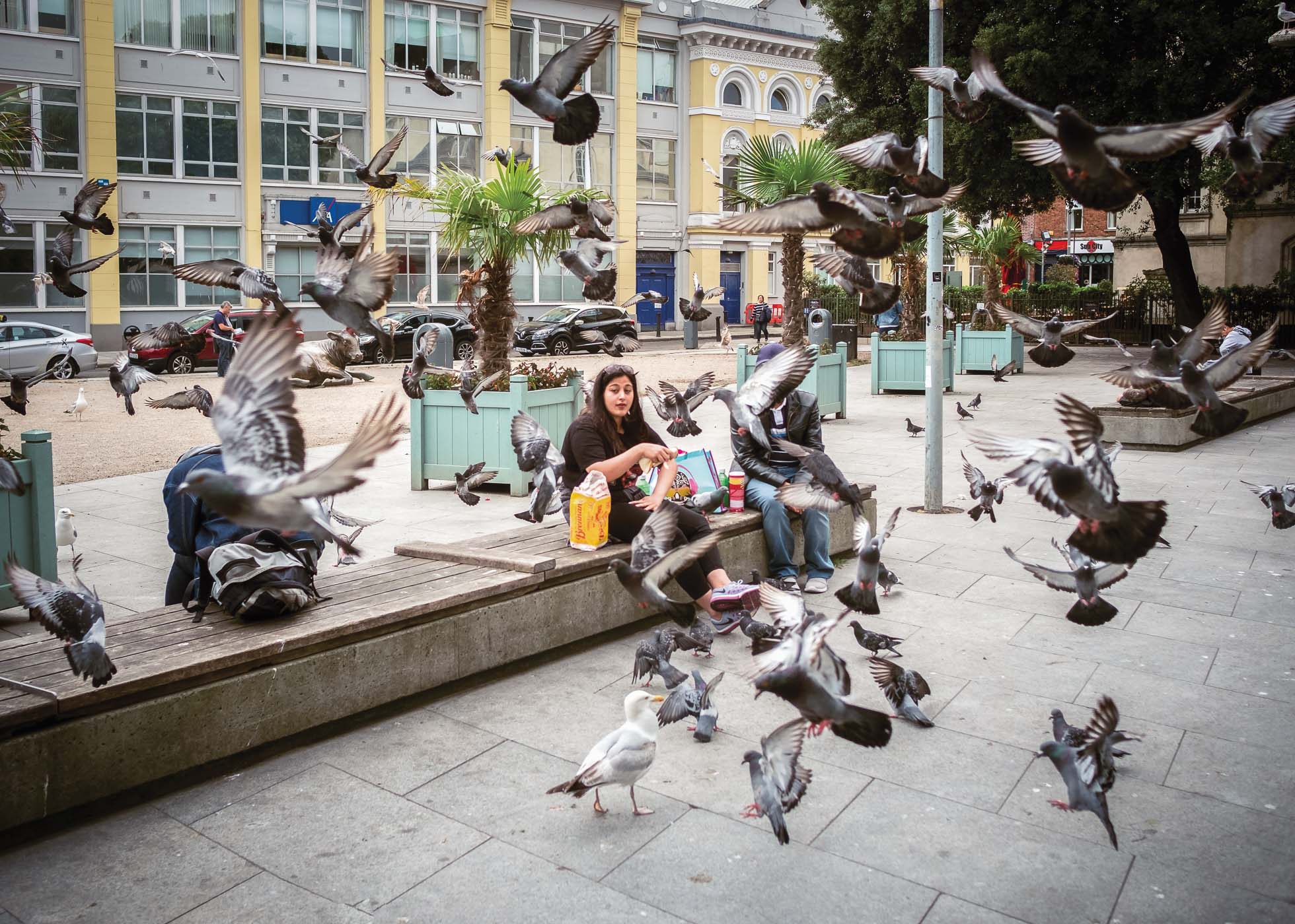 Primarul Gualtieri din Roma a interzis hrănirea porumbeilor. O femeie hrănea zilnic zeci de păsări de la balcon