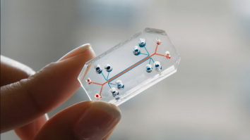 Plămânul viitorului nu e în corp, ci pe un cip cu celule vii. Primul „Lung-on-a-chip” cu imunitate a fost creat în Statele Unite