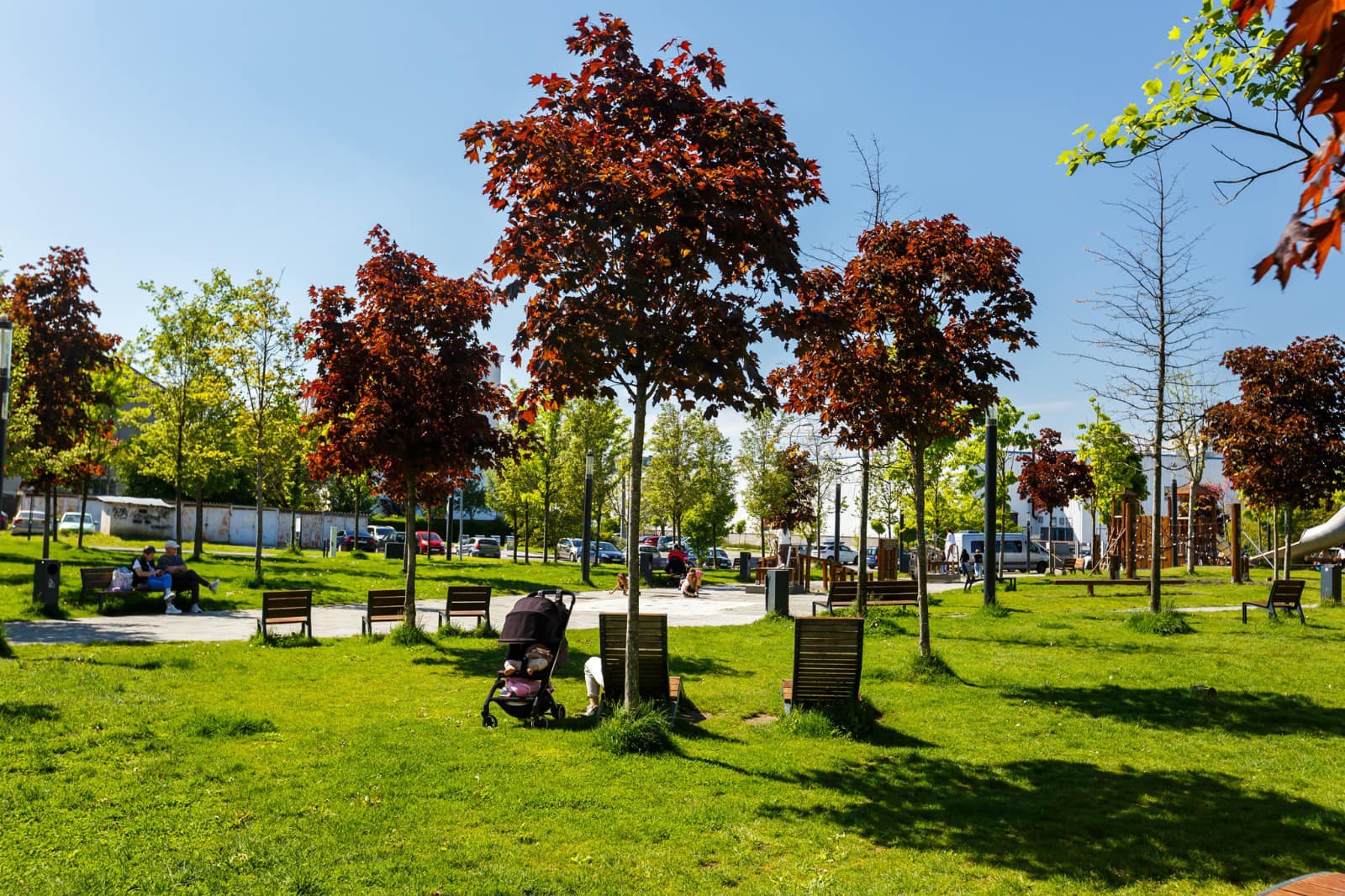 ANM anunță vreme caldă la început de martie. Temperaturile ajung la 16°C luni. Cum va fi vremea în București mâine