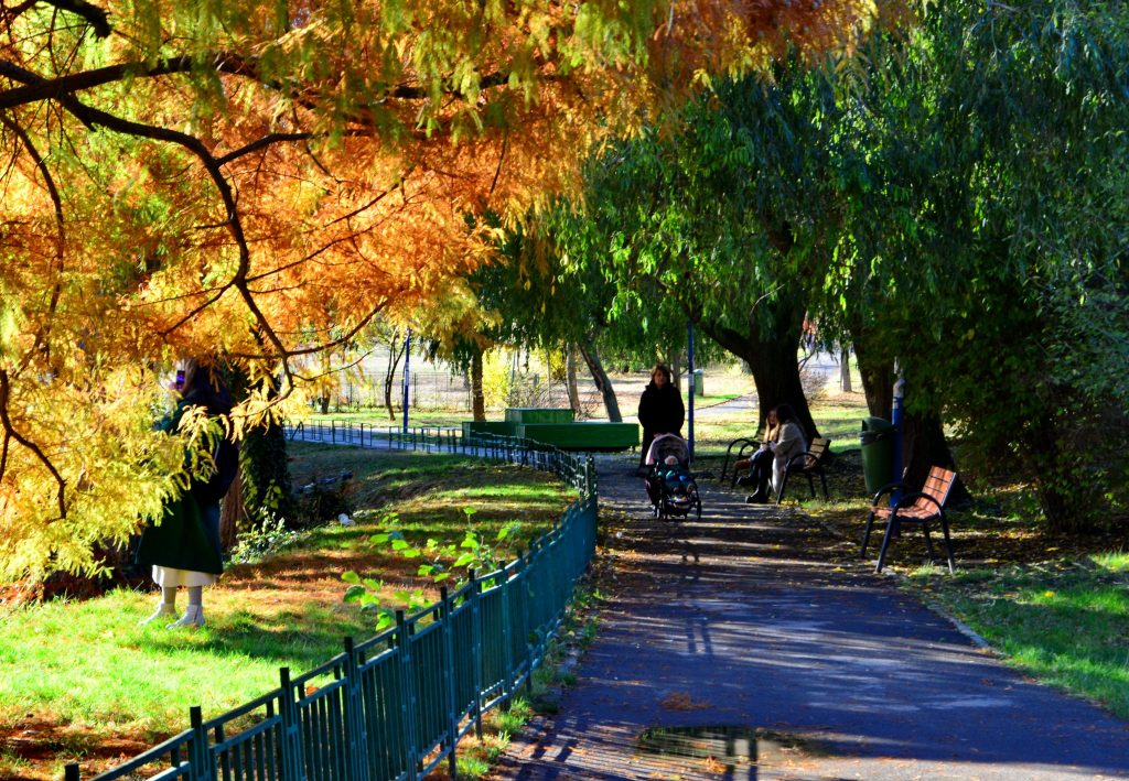 Săptămâna începe cu o ușoară încălzire a vremii. Maximele sunt cuprinse între 3 și 12°C. Cum va fi vremea în restul săptămânii