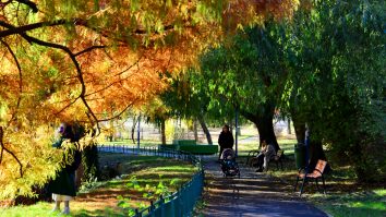 Astăzi ai parte de cea mai caldă zi a săptămânii în sudul țării. De joi, ploile și frigul revin în toată țara