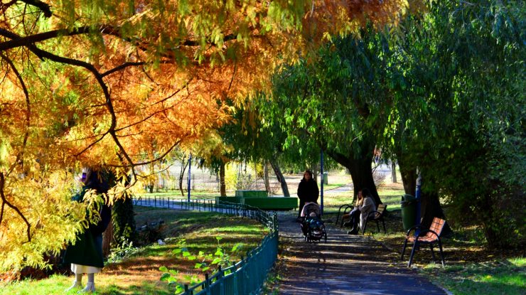 Astăzi ai parte de o zi plăcută de toamnă. În București, te bucuri de maxime de 27°C