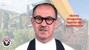Winecentziatul. Metode de recoltare a strugurilor