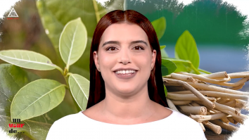 Un vârf de…Ashwagandha