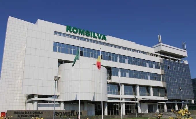 Guvernul a adoptat o ordonanță de urgență pentru funcţionarea şi reorganizarea Romsilva