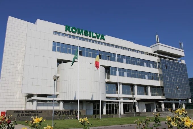 Guvernul a adoptat o ordonanță de urgență prin care creează baza legală pentru funcţionarea şi reorganizarea Romsilva