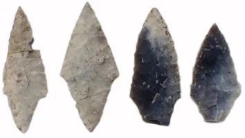 O descoperire arheologică răstoarnă teoriile despre rolul femeii. Într-un cimitir de 5.000 de ani, femeile erau îngropate cu uneltele lor