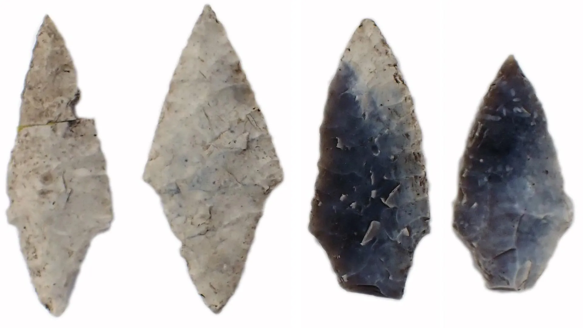 O descoperire arheologică răstoarnă teoriile despre rolul femeii. Într-un cimitir de 5.000 de ani, femeile erau îngropate cu uneltele lor