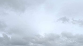 Lotul 2 al autostrăzii A7 a fost deschis între Mizil și Pietroasele. Directorul CNAIR: „Până la finalul anului se vor deschide pe A7 încă aproximativ 50 km”