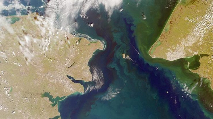 Acceptă Trump construcția unui tunel Rusia-Alaska? De față cu Zelenski, Președintele SUA s-a declarat interesat de propunerea lui Kirill Dmitriev, economistul lui Putin