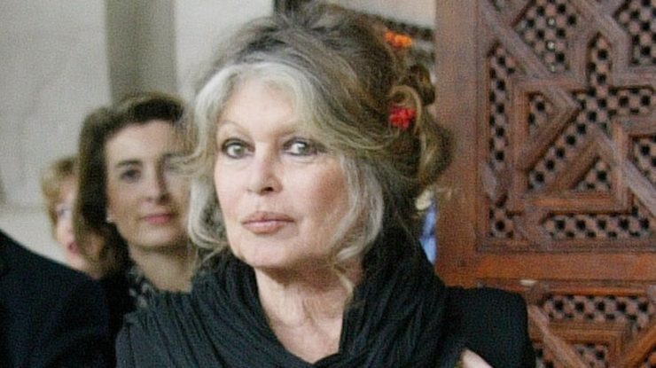 Brigitte Bardot, în vârstă de 91 de ani, a fost spitalizată din cauza unei „boli grave”. Starea sa rămâne îngrijorătoare