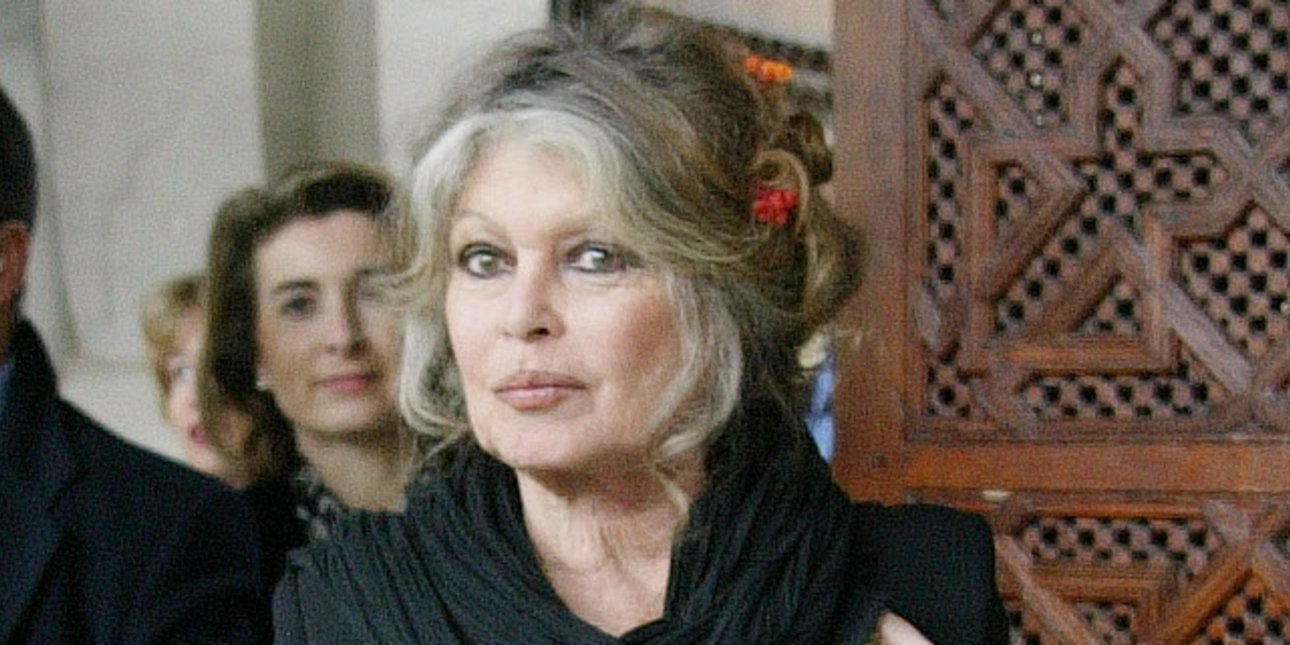 Brigitte Bardot, în vârstă de 91 de ani, a fost spitalizată din cauza unei „boli grave”. Starea sa rămâne îngrijorătoare