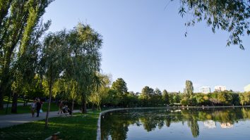 Robert Negoiță a scos de pe listă proiectul care voia să transforme Parcul IOR într-un mall cu amfiteatru. Organizațiile civice s-au împotrivit