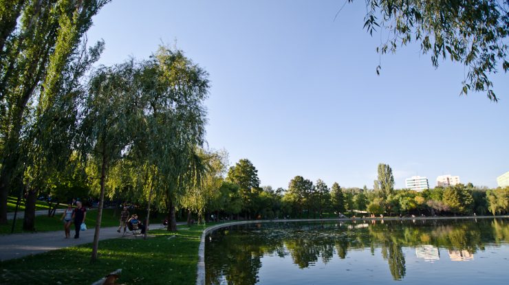 Robert Negoiță a scos de pe listă proiectul care voia să transforme Parcul IOR într-un mall cu amfiteatru. Organizațiile civice s-au împotrivit