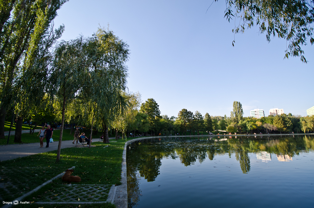 Robert Negoiță a scos de pe listă proiectul care voia să transforme Parcul IOR într-un mall cu amfiteatru. Organizațiile civice s-au împotrivit