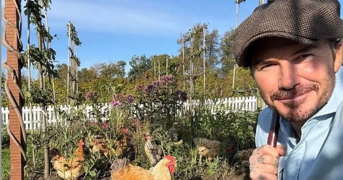 „Slow living” e noul trend pe social media. David Beckham și Jennifer Garner cultivă legume în timpul liber