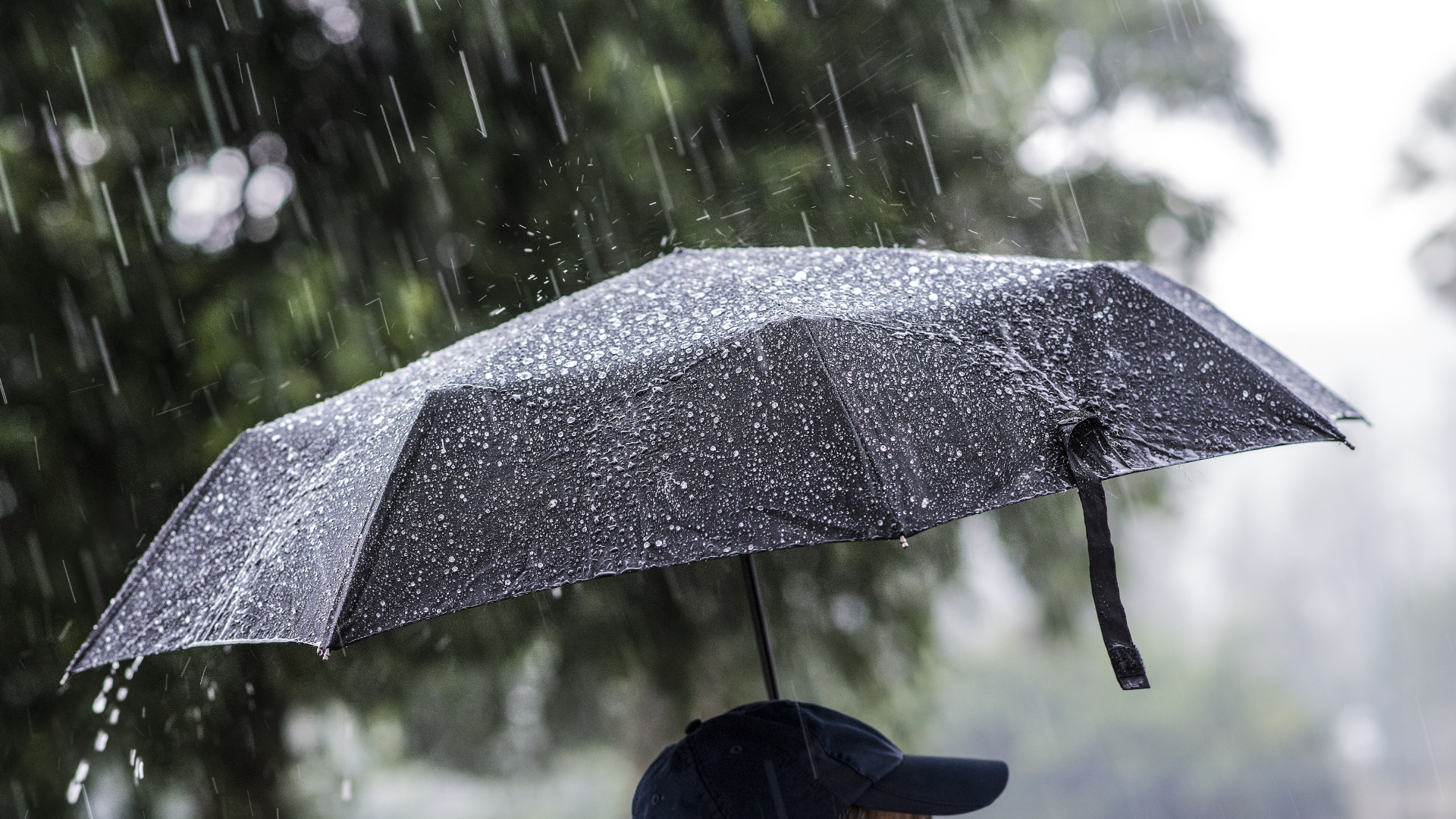 Meteorologii anunţă că până joi dimineaţă, în toată România, vremea va fi rece, cu vânt şi ploi. La altitudini mari va ninge viscolit