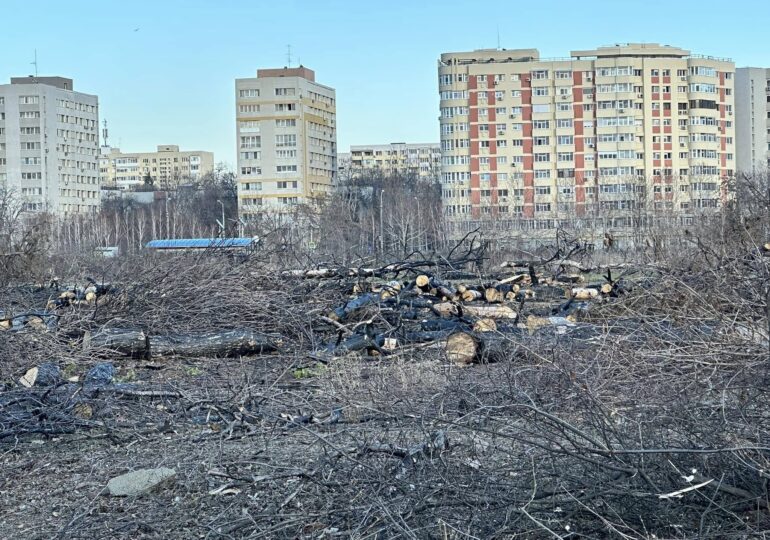 Peste 50 de organizații cer Consiliului General al Capitalei să majoreze amenzile pentru defrișările ilegale. Adrian Bîlbă, activist de mediu: „Legislația e vagă, de asta nu se aplică nici amenzile mici. Ministrul Mediului are obligația de a lua niște măsuri”