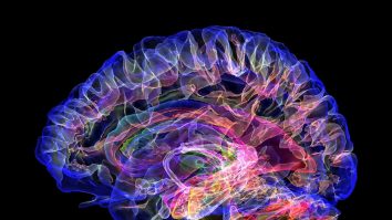 Doar 15 minute pe zi îți poate îmbunătăți memoria. Ce exerciții cognitive recomandă specialiștii