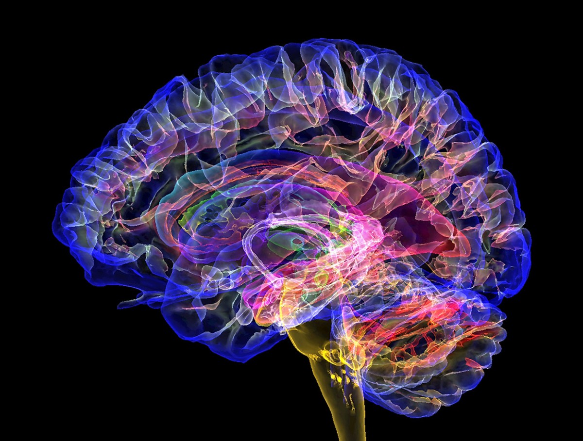 Doar 15 minute pe zi îți poate îmbunătăți memoria. Ce exerciții cognitive recomandă specialiștii