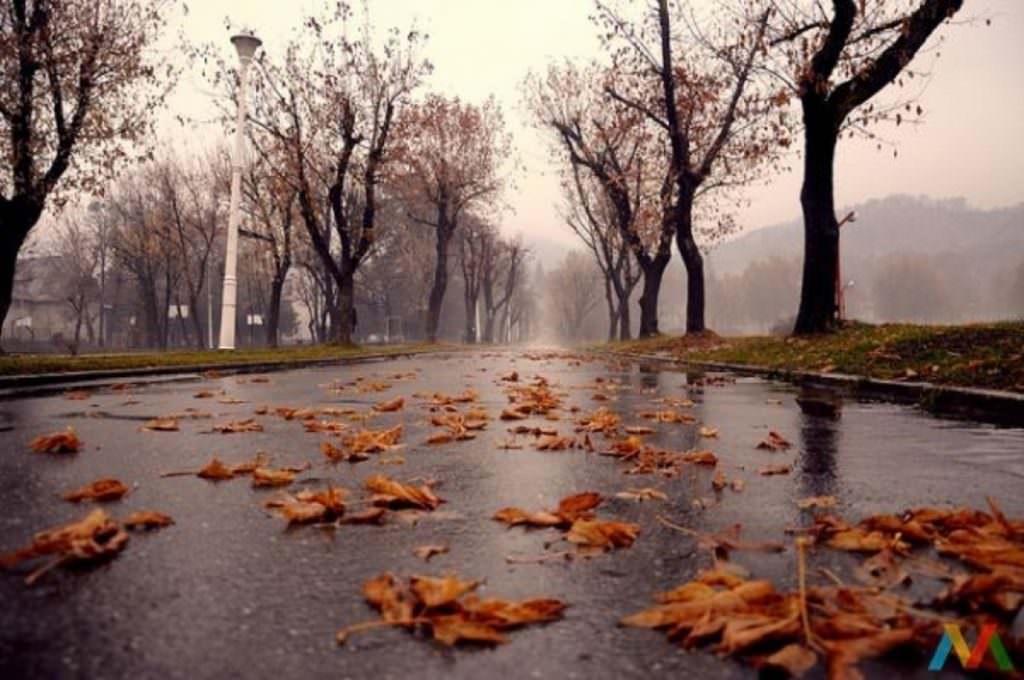 Te așteaptă vreme rea. Până sâmbătă, ANM anunță temperaturi reci, cu ploi și vânt