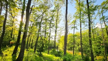 Centura Verde București-Ilfov devine, în sfârșit, realitate. Activistul Alex Găvan: „Decidenții politici au înțeles că acest proiect este despre sănătatea publică, în primul rând. Toți avem nevoie de aer curat”